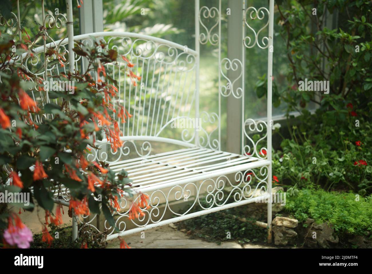white metal seat chair in flower garden park in spring summer Stock Photo