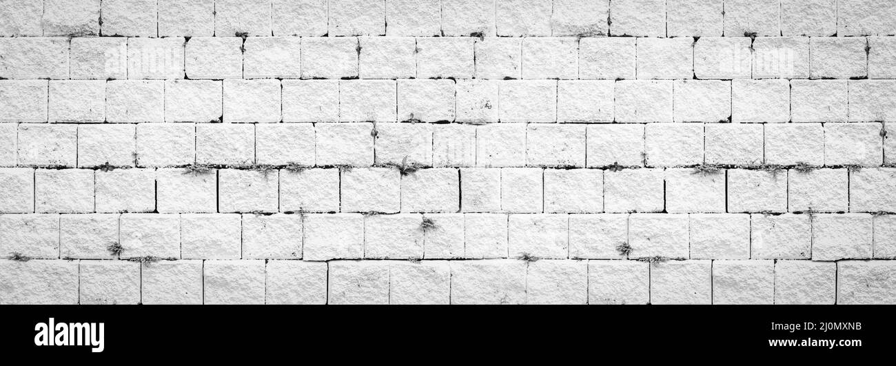 Abstract white brick wall texture light gray old stucco and vintage ...