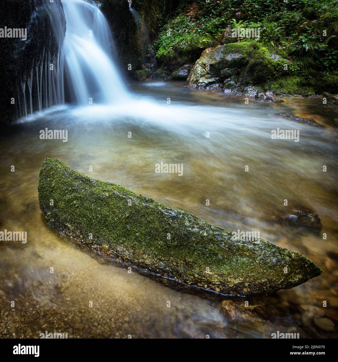 Small Waterfall Between Rocks Water flowing between plants hi-res stock photography and images - Alamy
