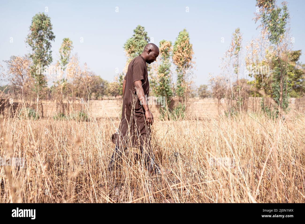 Despaired farmer walking in a dry field; climate crisis concept Stock Photo