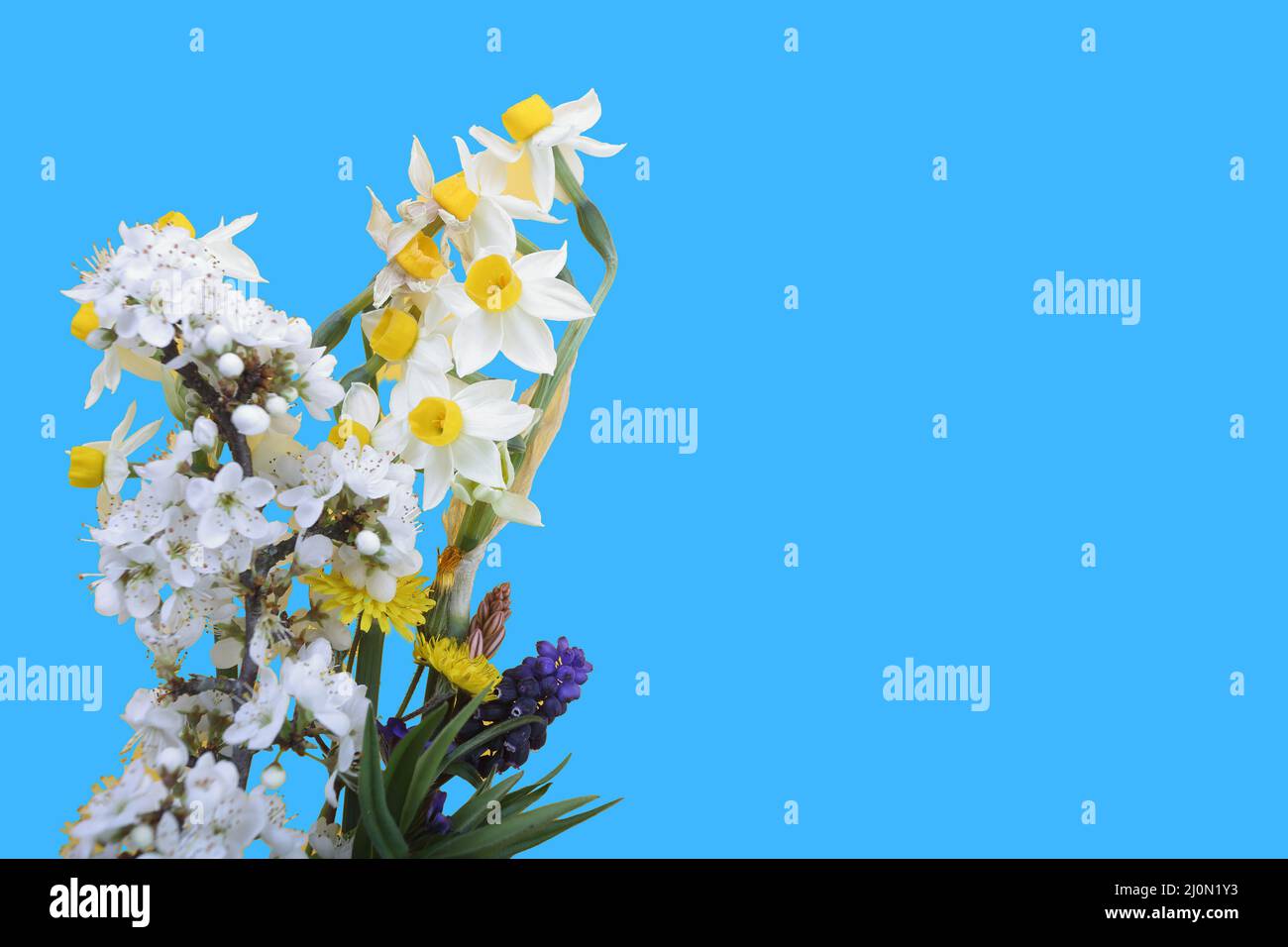 floral composition Stock Photo