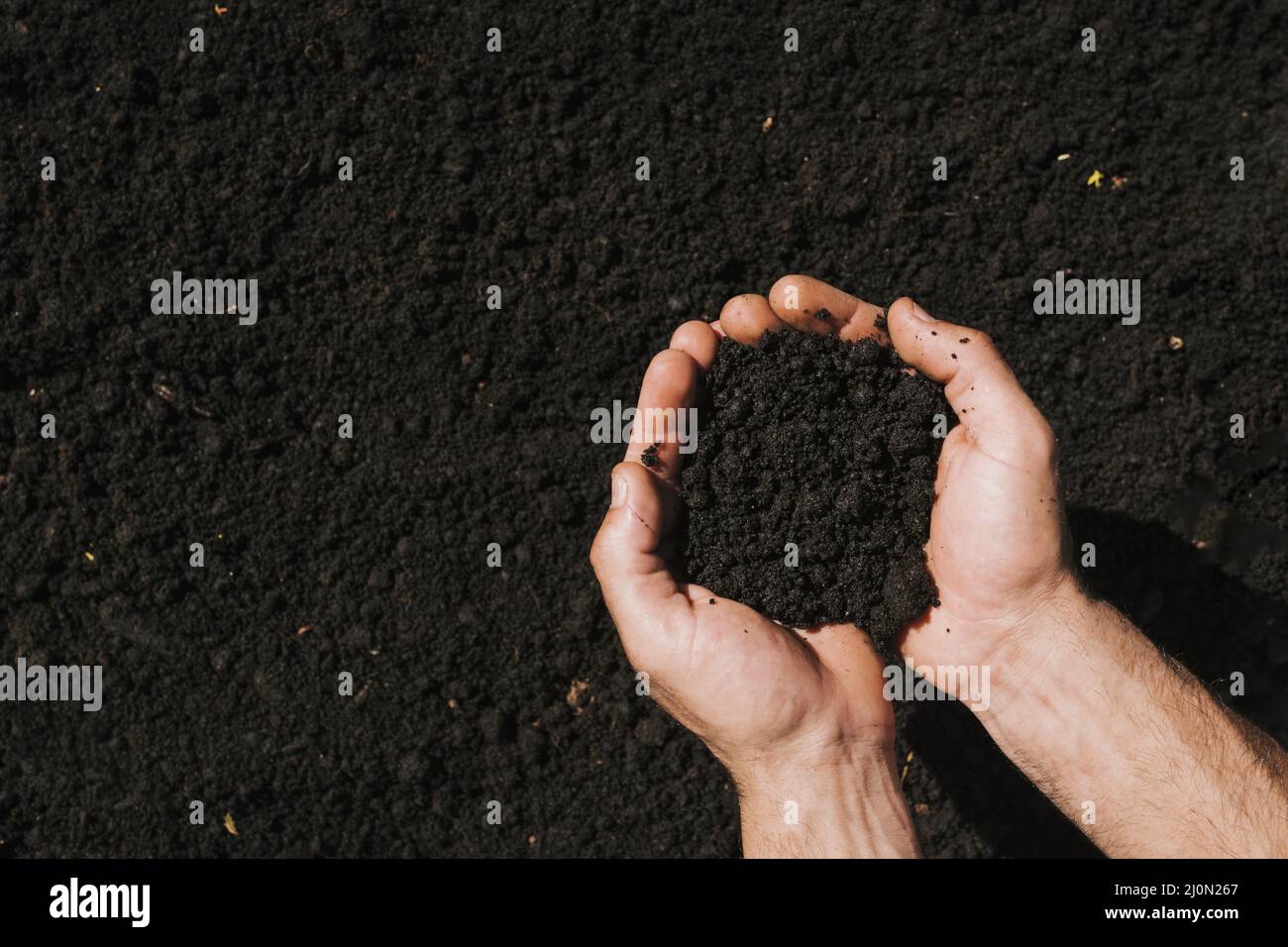 Flat lay hands holding soil Stock Photo Alamy