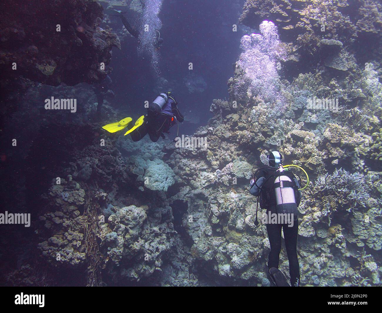 scuba divers and coral reef Stock Photo