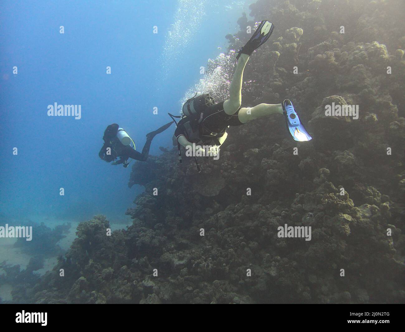 scuba divers and coral reef Stock Photo