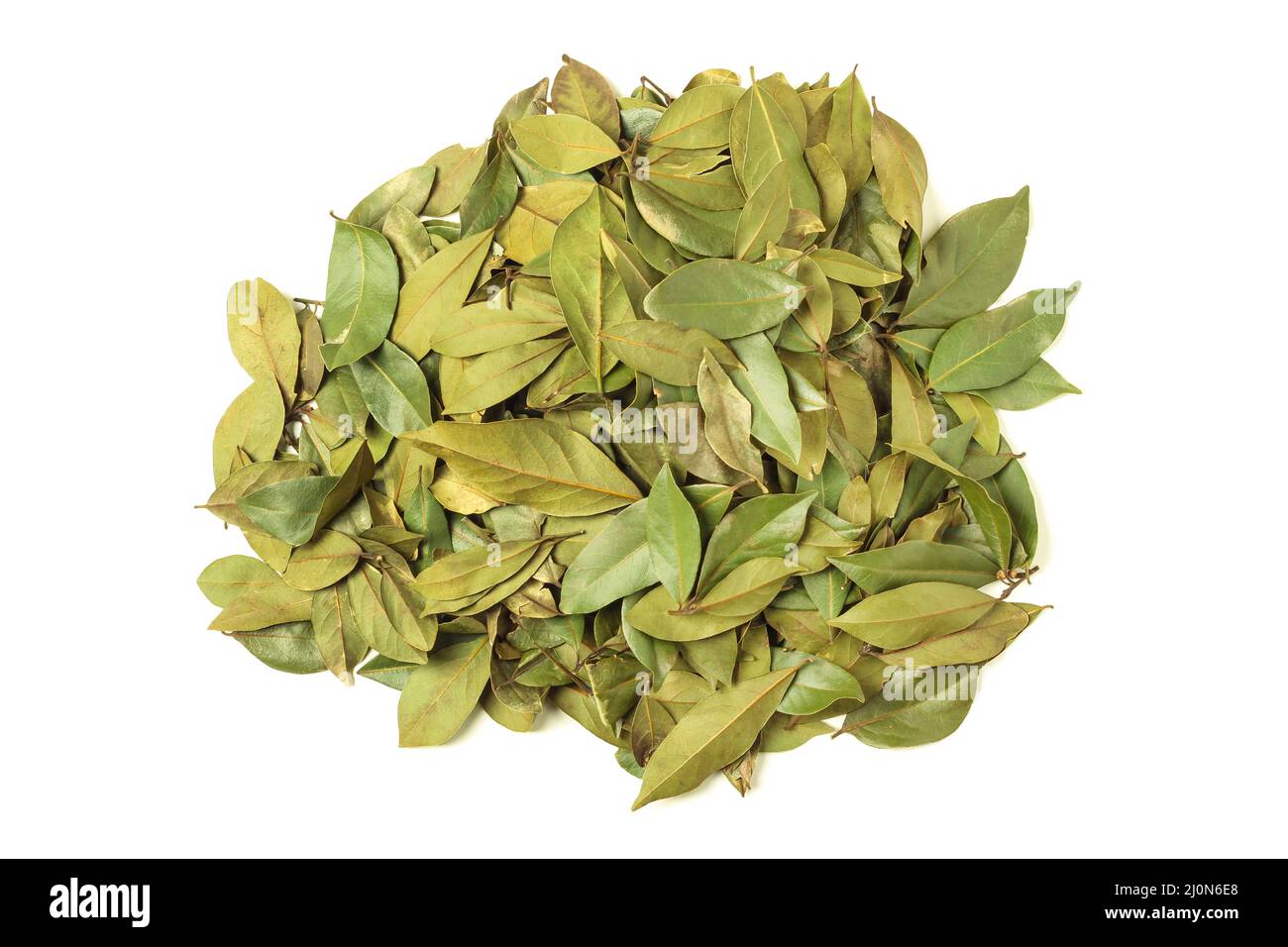 Pile of laurel leaves isolated on white. View from above Stock Photo