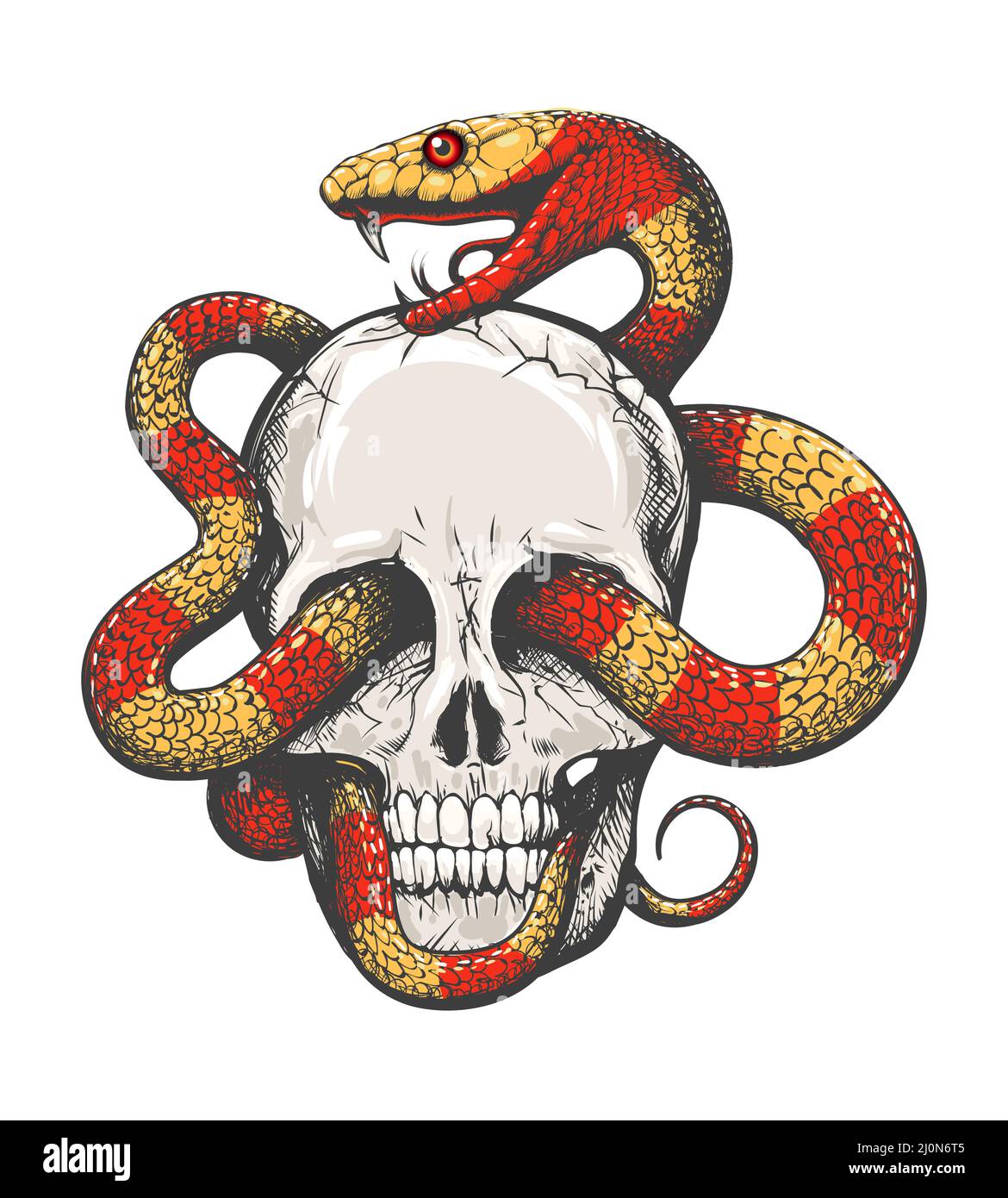 Tattoo of Human Skull and Tropical Snake isolated on white background. vector illustration. Stock Vector