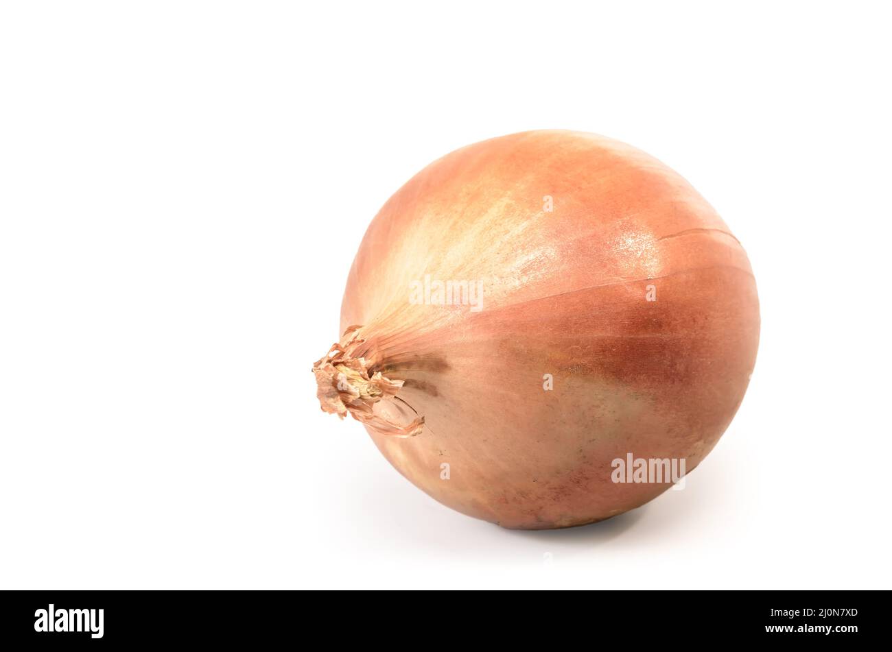 Ripe onion on white background with soft shadow Stock Photo