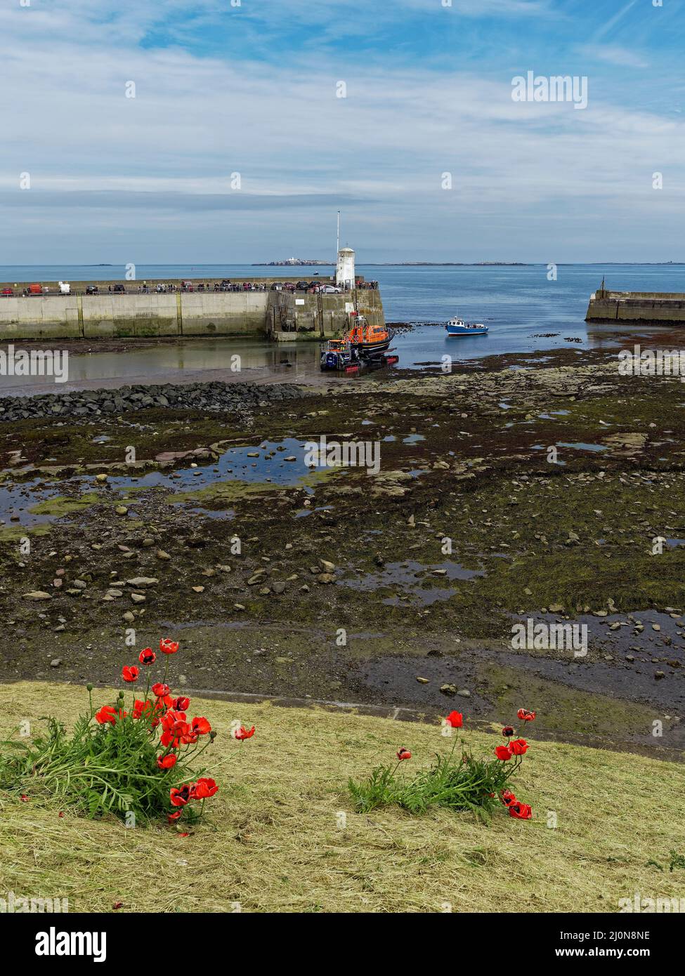 The Seahouses Lifeboat being launched at low tide with a Grassy bank and Red Poppy Flowers in the Foreground and a bright Summers Day. Stock Photo