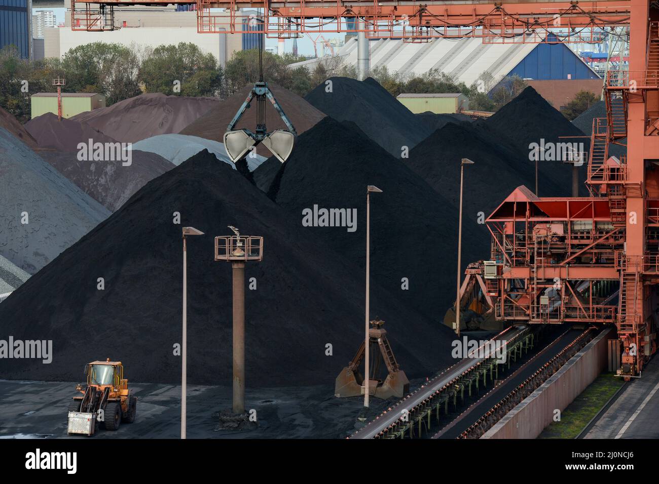 Germany, Hamburg, harbour bulk terminal Hansaport, import of hard coal and ore for german steel factories and power plants, coal is imported from Russia, Columbia, Canada, Australia and others Stock Photo