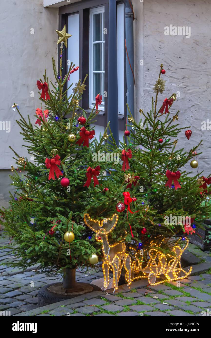 Christmas tree on the street, Limburg, Germany Stock Photo