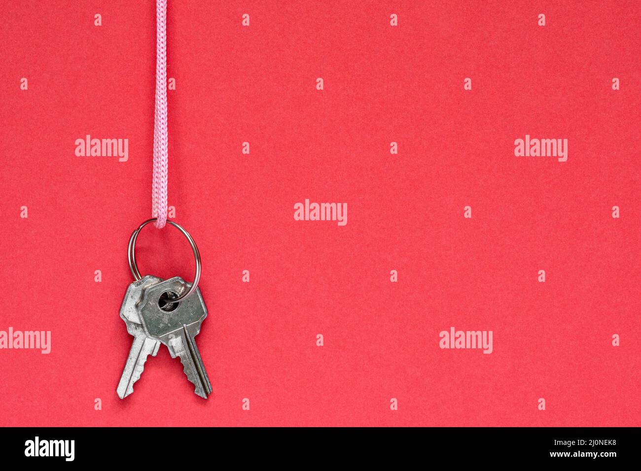 String development hi-res stock photography and images - Alamy