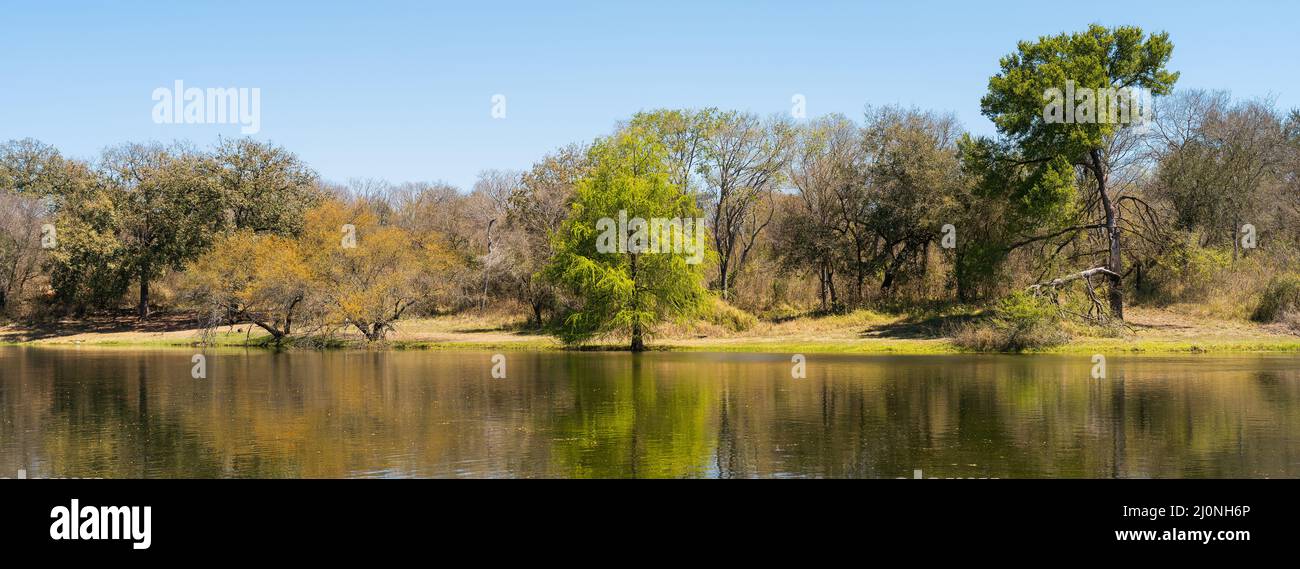 Panoramic shot of a lake reflecting the beautiful green trees on the ...