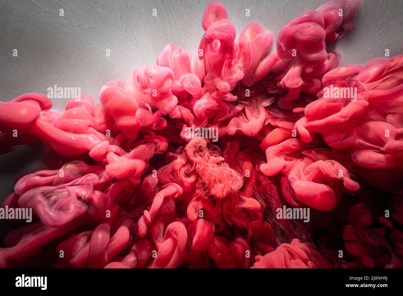 ink water explosion mysterious alchemy magenta Stock Photo
