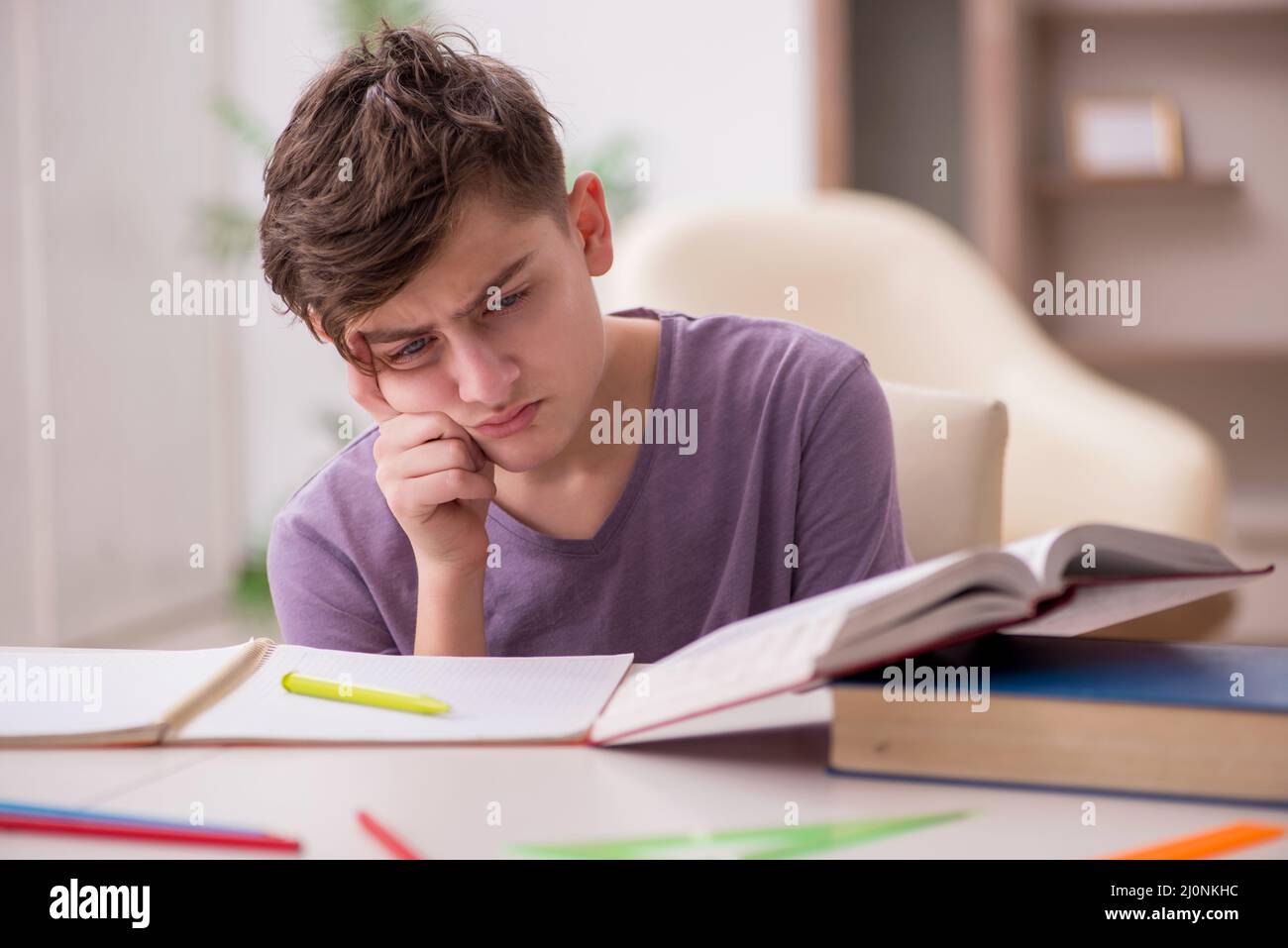 Schoolboy preparing for exams at home Stock Photo