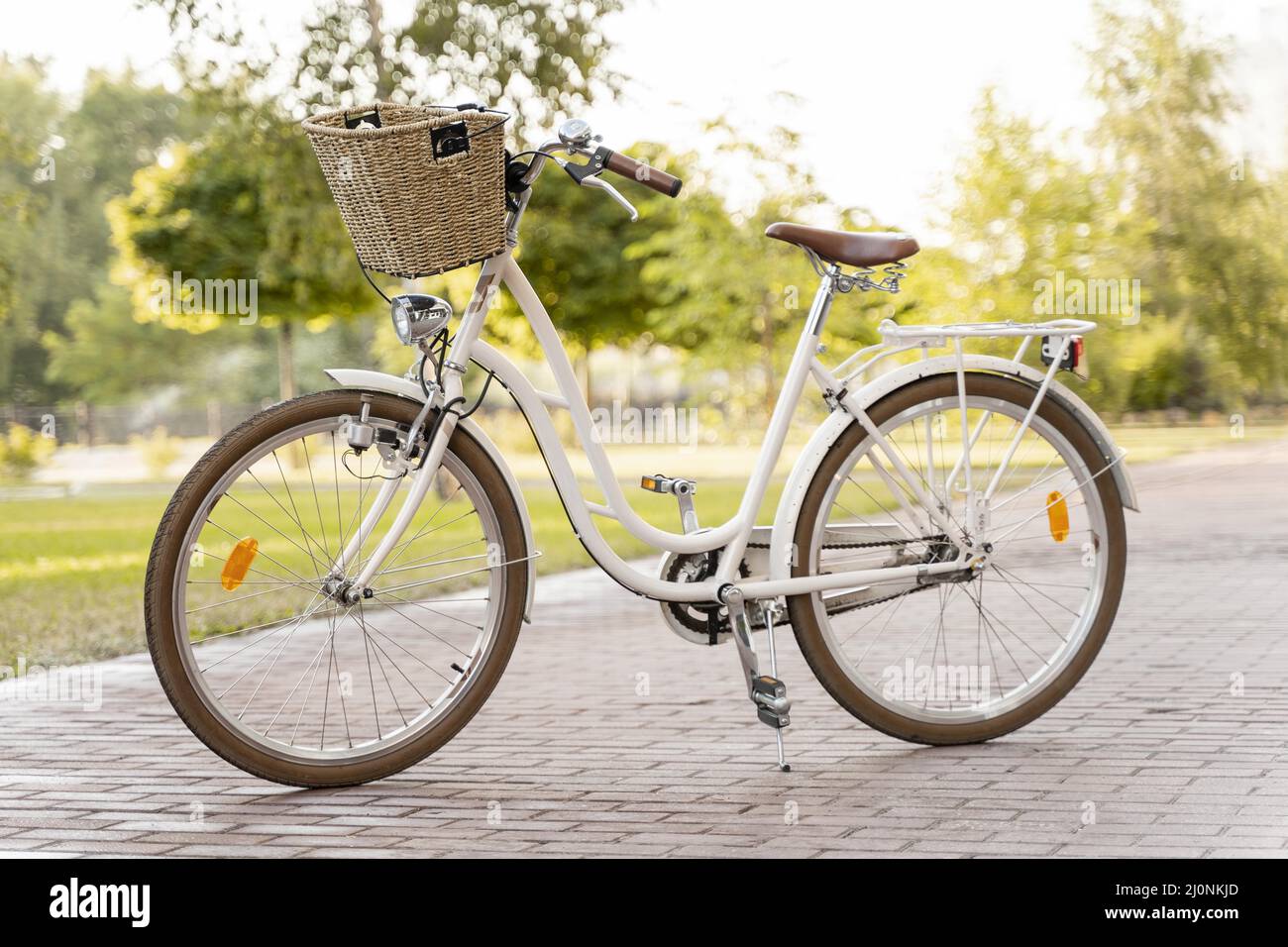 eco friendly bicycle price