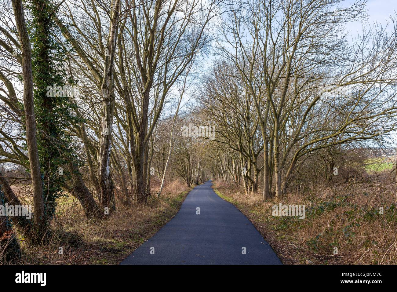 Wylam, Northumberland England: 8th Feb 2022: Wylam Waggonway, National Cycle Route 72 newly laid pathway (no people) Stock Photo