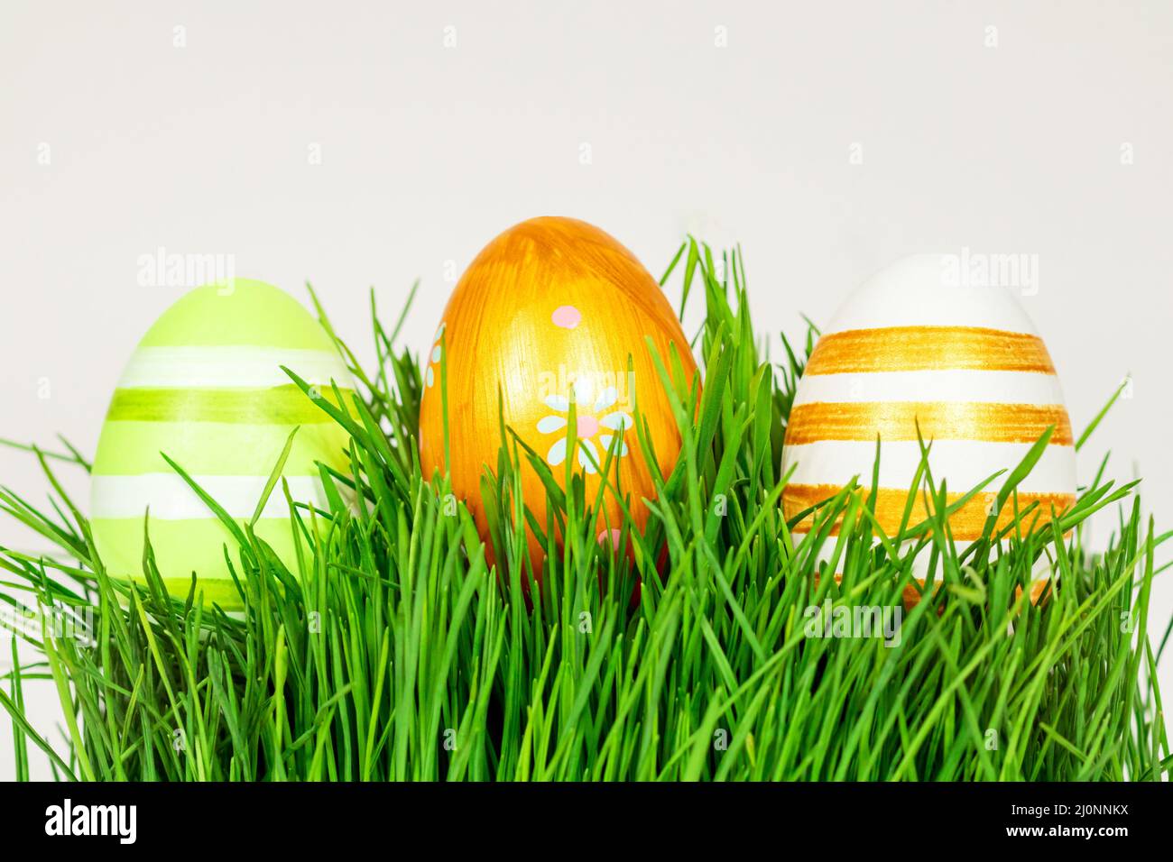 Multi-colored Easter eggs in green grass. Place for inscription, text. Easter concept. Stock Photo