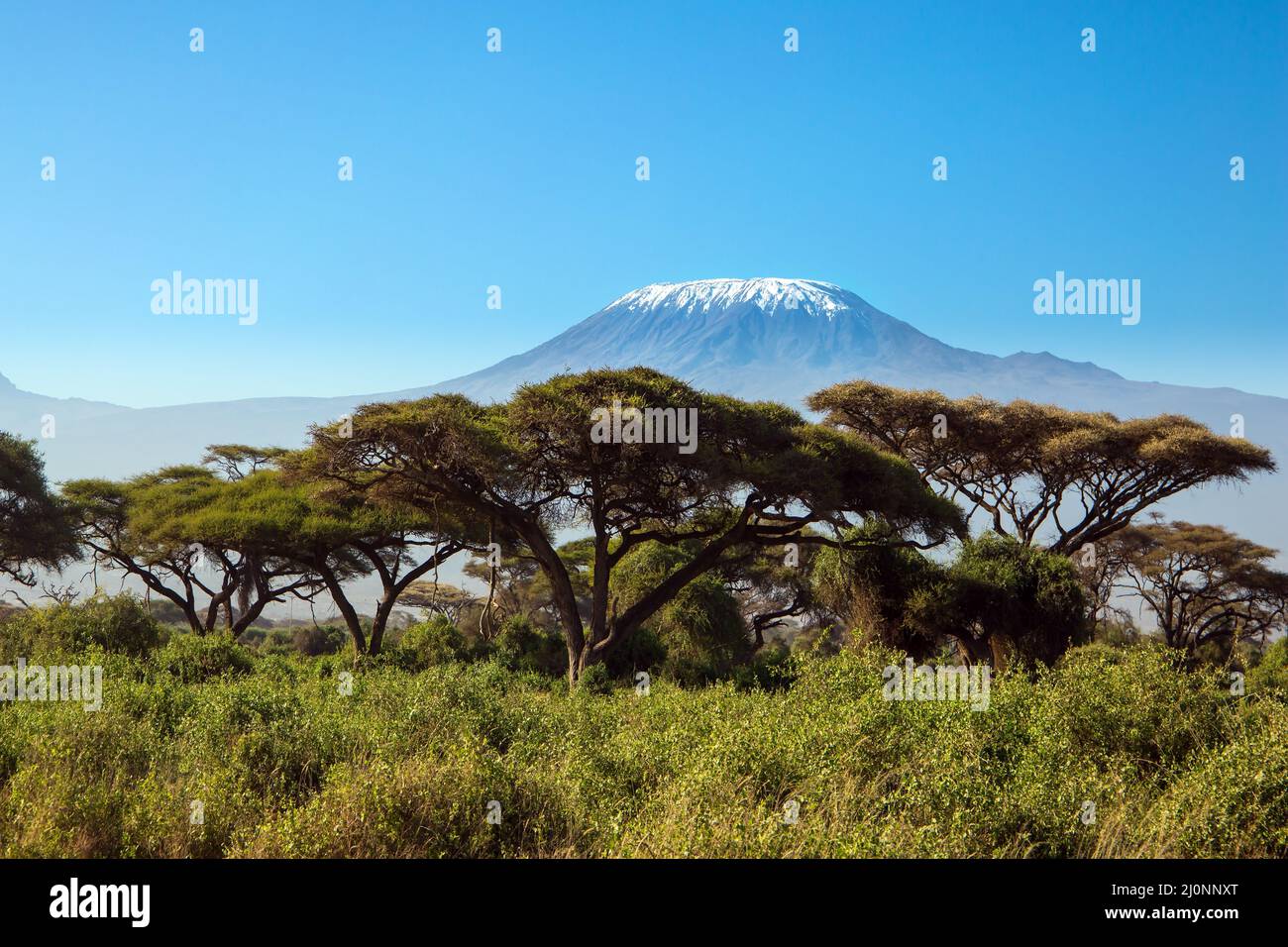 The travel to Africa Stock Photo