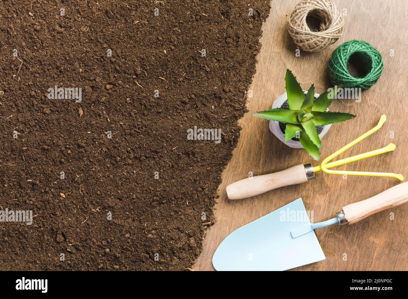 Top view gardening tools ground. High quality and resolution beautiful photo concept Stock Photo