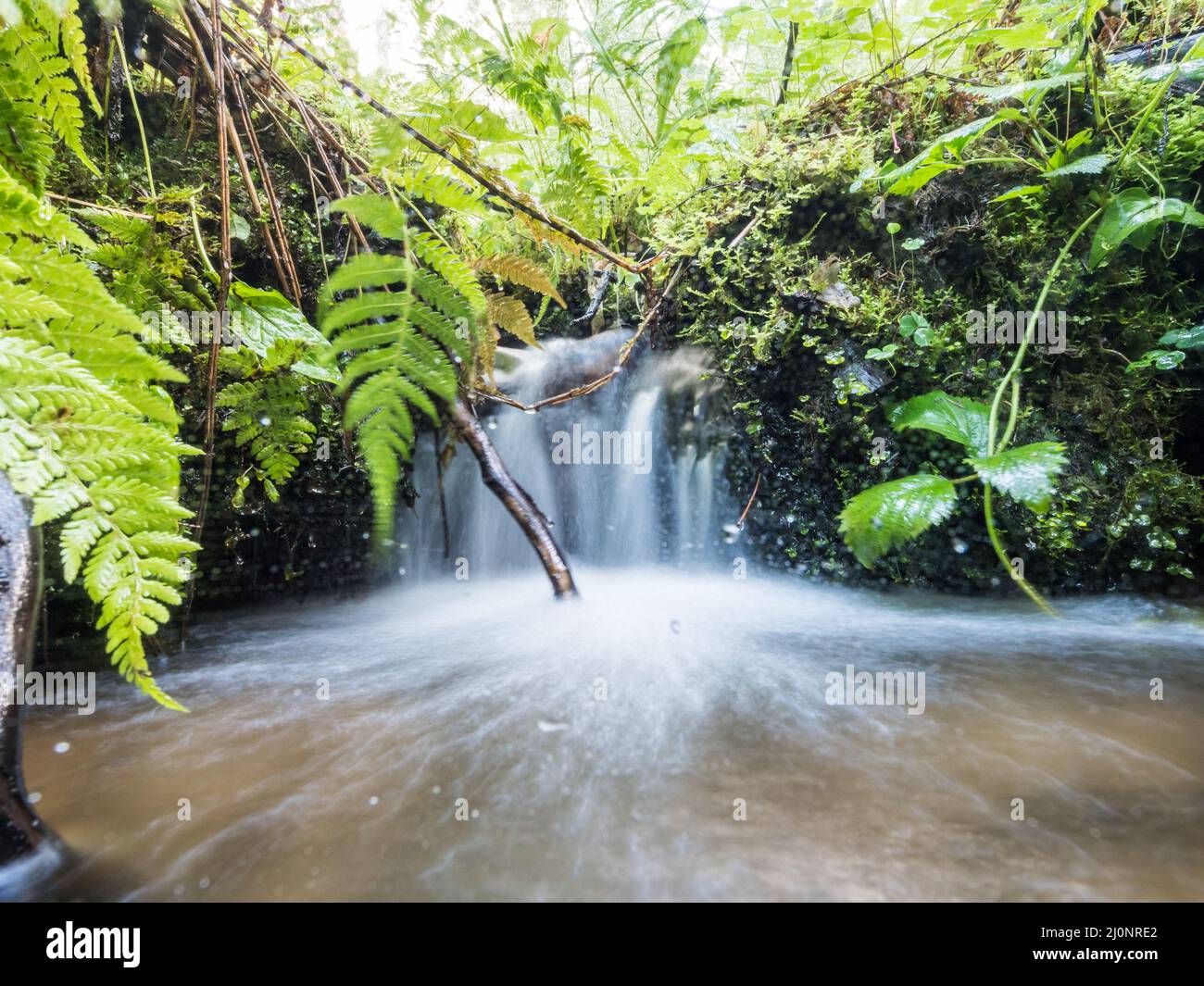 Small waterfall in spring brook Stock Photo
