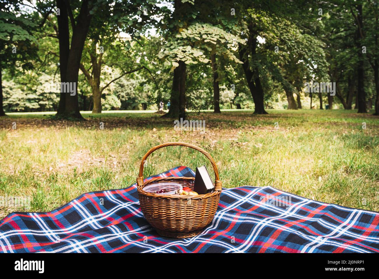 Wicker picnic basket blanket park. High quality and resolution