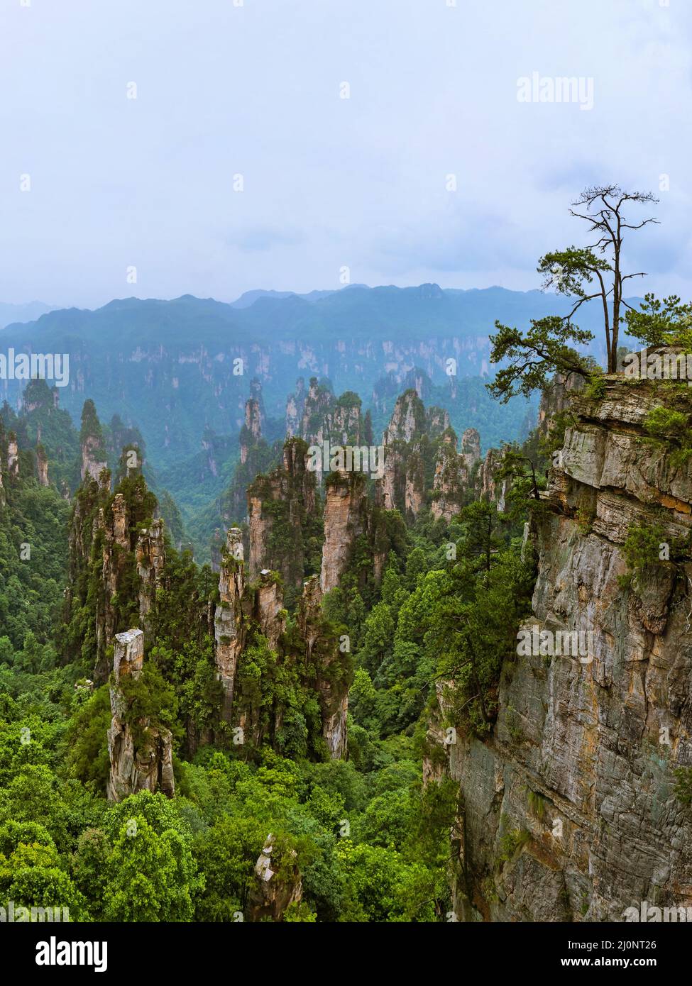 Tianzi Avatar mountains nature park - Wulingyuan China Stock Photo