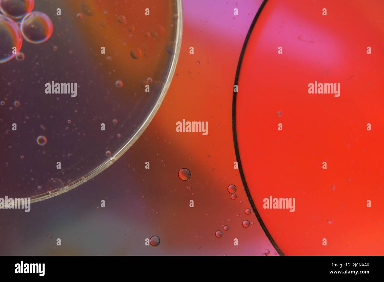 abstract photo of oil drops in water Stock Photo Alamy