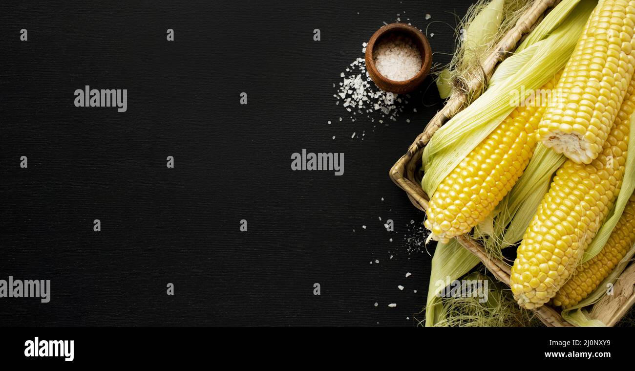 Top view corn frame with copy space. High quality and resolution beautiful photo concept Stock Photo