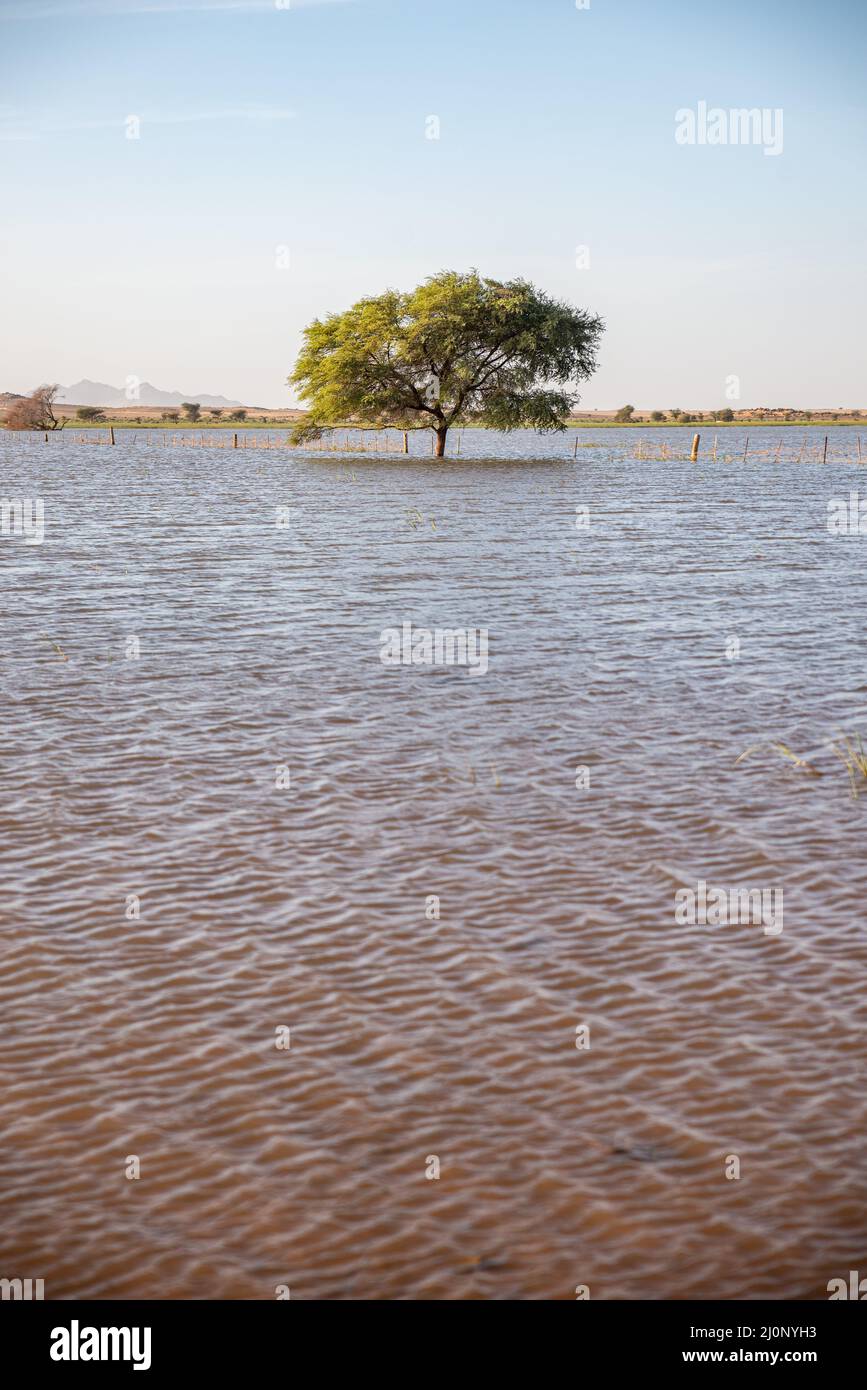 Unusual wet landscape with a low level lake in Mauritania Stock Photo