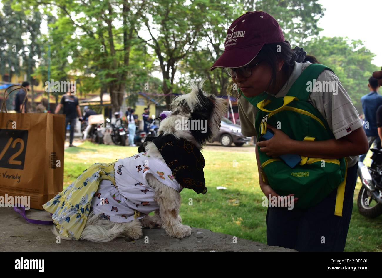 March 20, 2022, Guwahati, Guwahati, India Dog gets ready to walk in