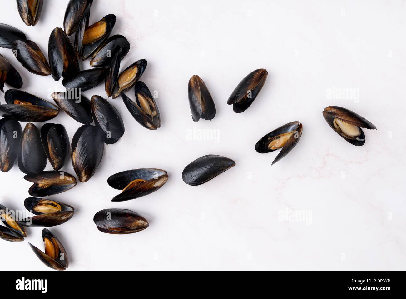 Scattered mediterranean mussels flat lay . High quality and resolution beautiful photo concept Stock Photo