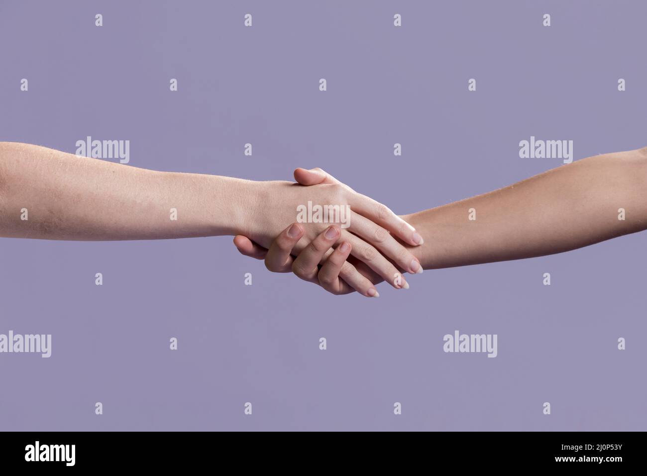 Women handshake as sign peace. High quality and resolution beautiful