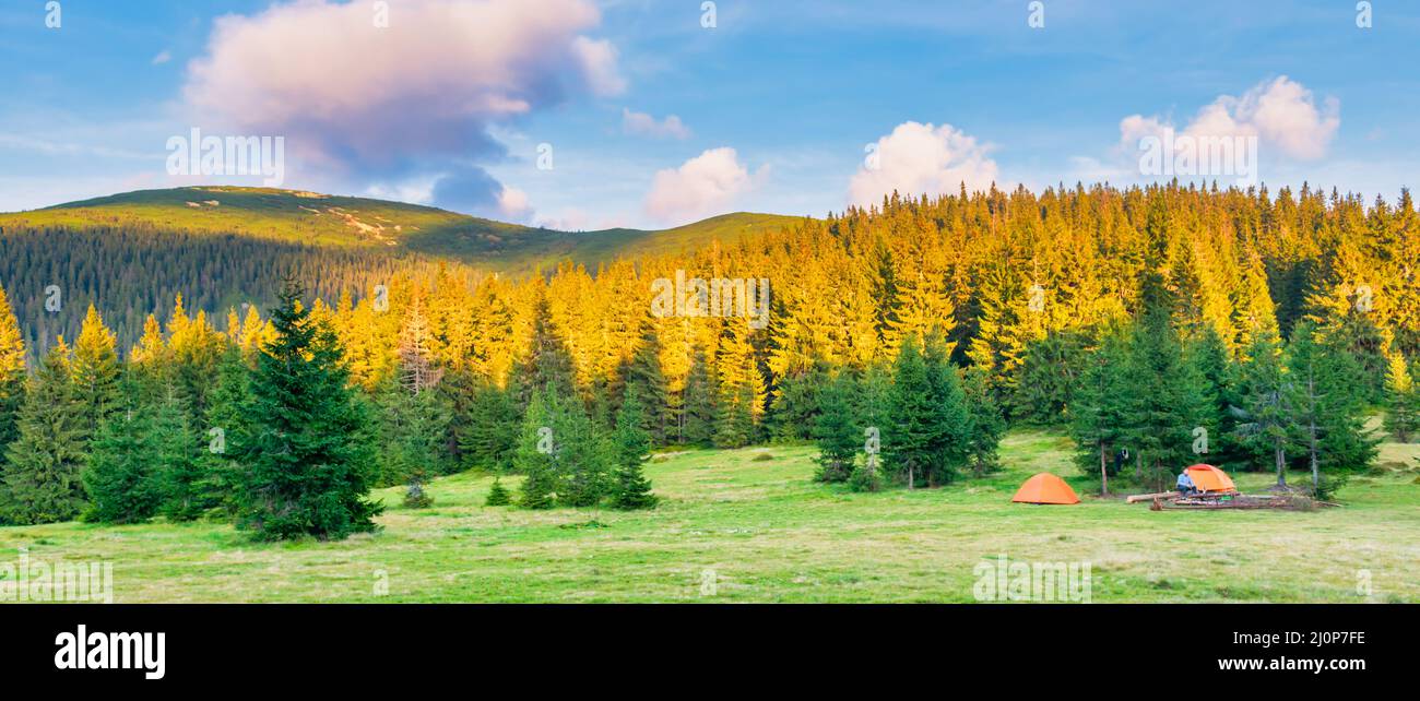 Orange tent camp in green forest Stock Photo
