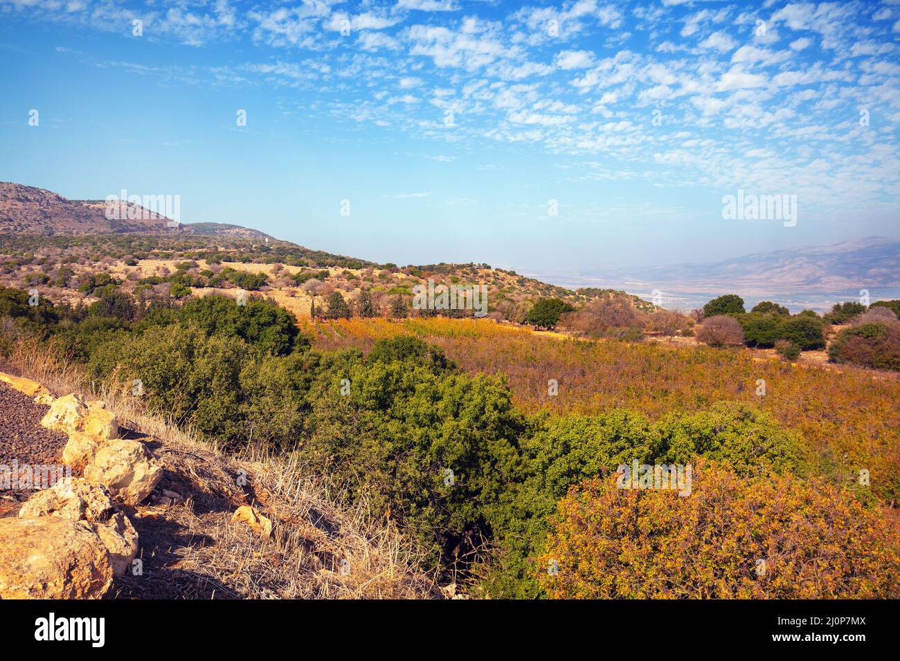 Hills near the Sea of Galilee, Israel Stock Photo