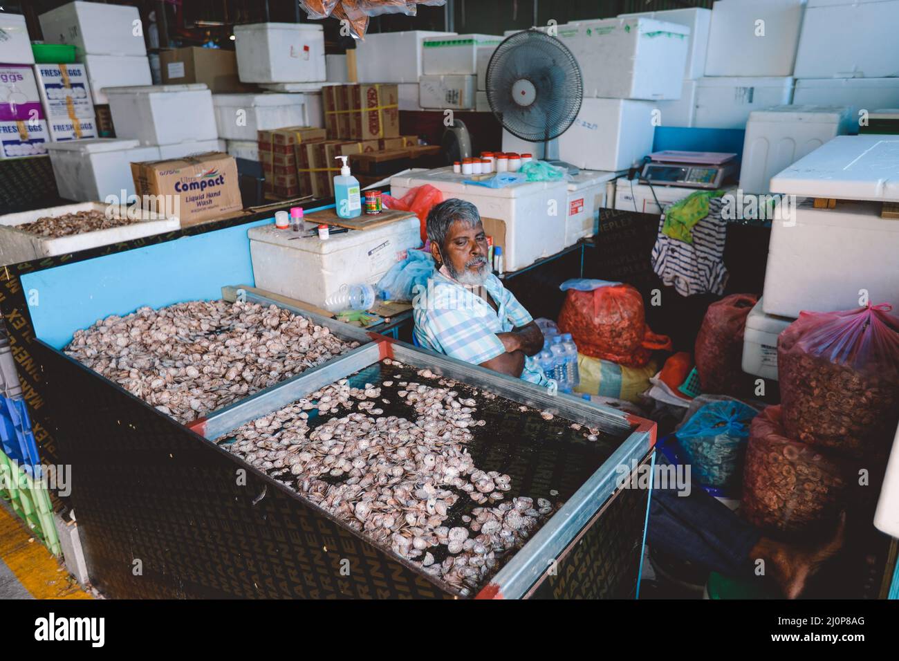 Local Man selling Dried Traditional Maldivian Betel Nut on the Maldivian Market in Male City Stock Photo