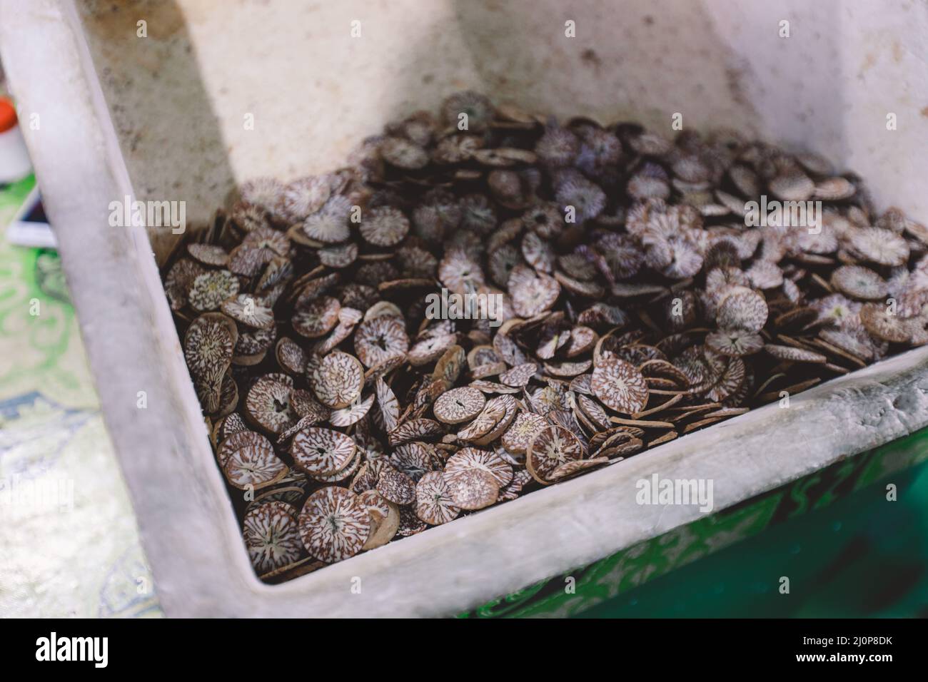 Dried Traditional Maldivian Betel Nut on the Market in Male City Stock Photo