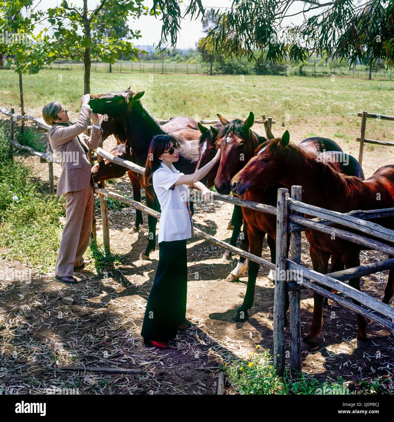 Vintage Italy 1970s, stylish middle-aged couple visits horse breeding, Roman countryside ranch, Lazio, Europe Stock Photo