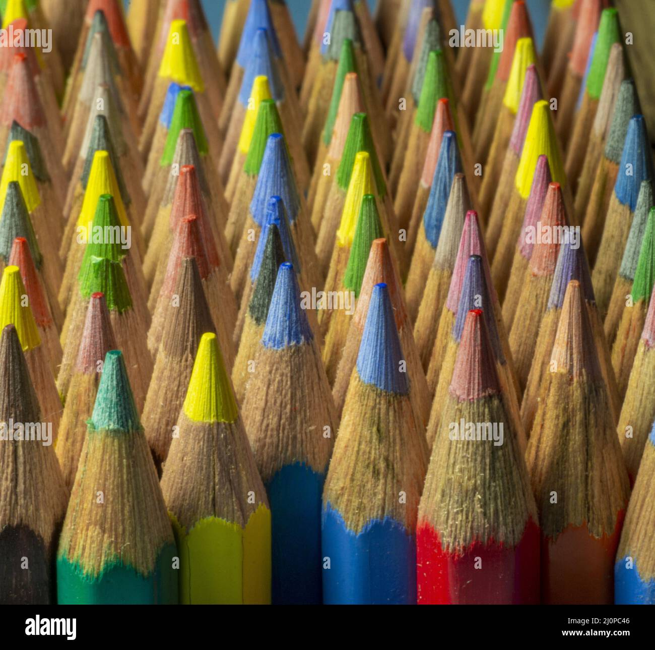 Wooden colored pencils. Pencil pile. Pencil nibs. Sharpen colored