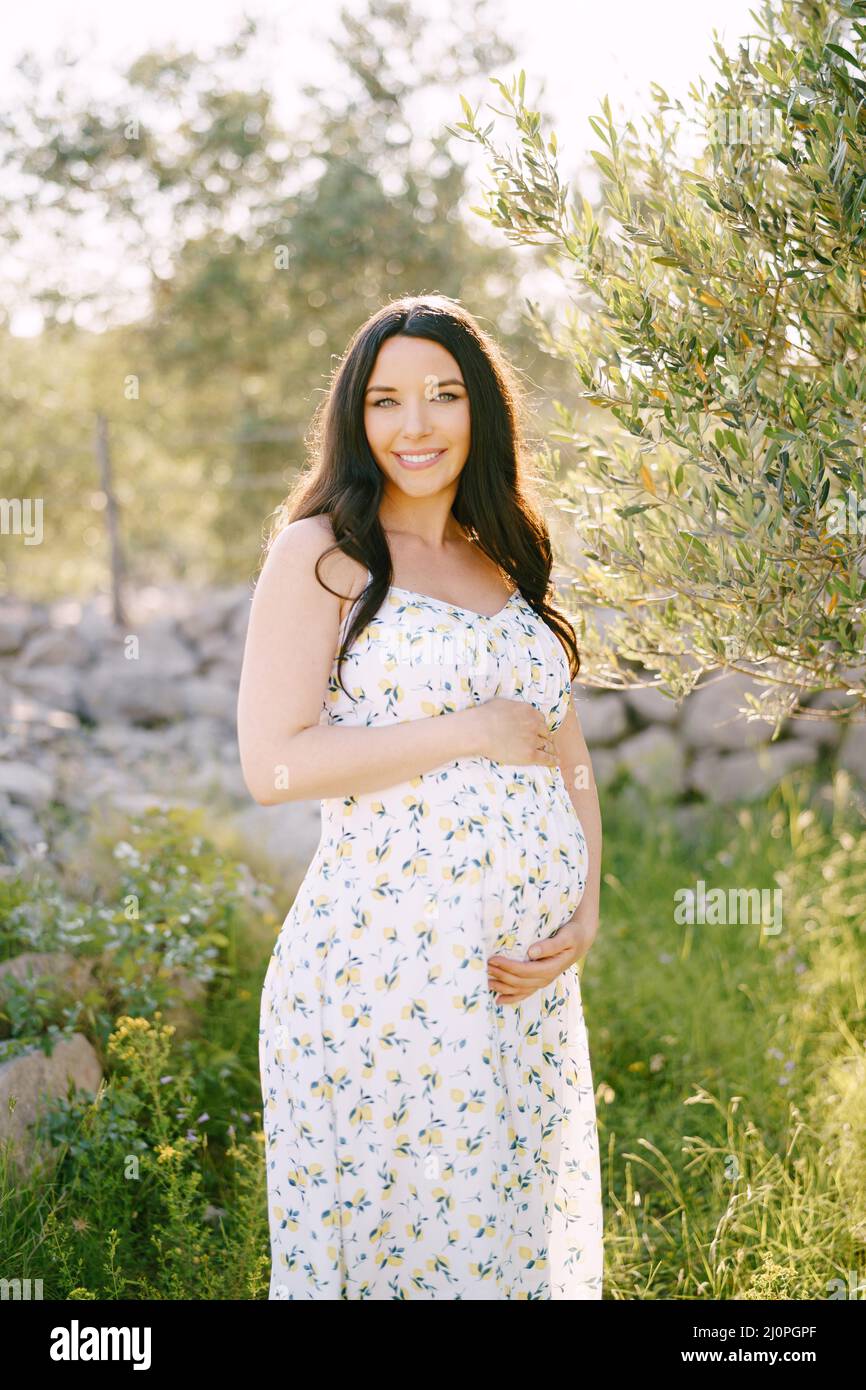 Pregnant woman hugs belly near olive tree Stock Photo - Alamy
