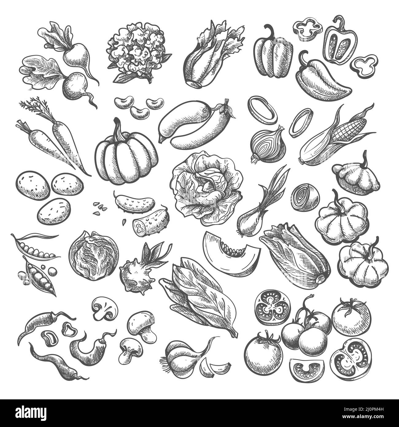 Collection vegetables on kitchen Black and White Stock Photos & Images ...