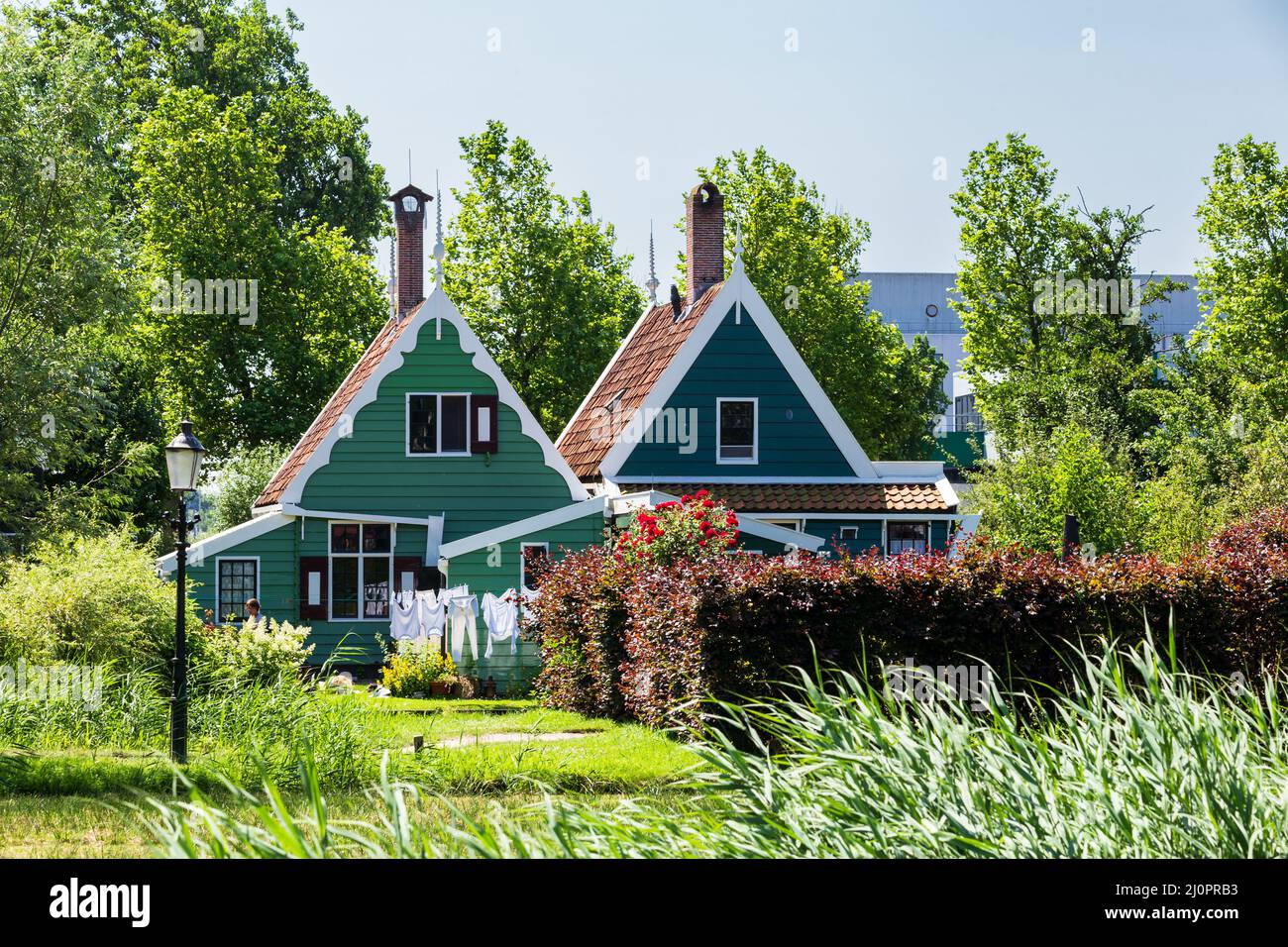 Coloful small wooden houses in traditional color green in Zaanstad The