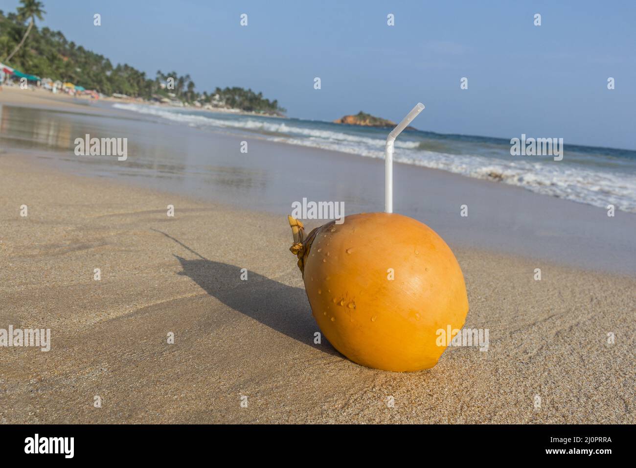 Coconut with drinking straw. Sri Lanka Stock Photo Alamy