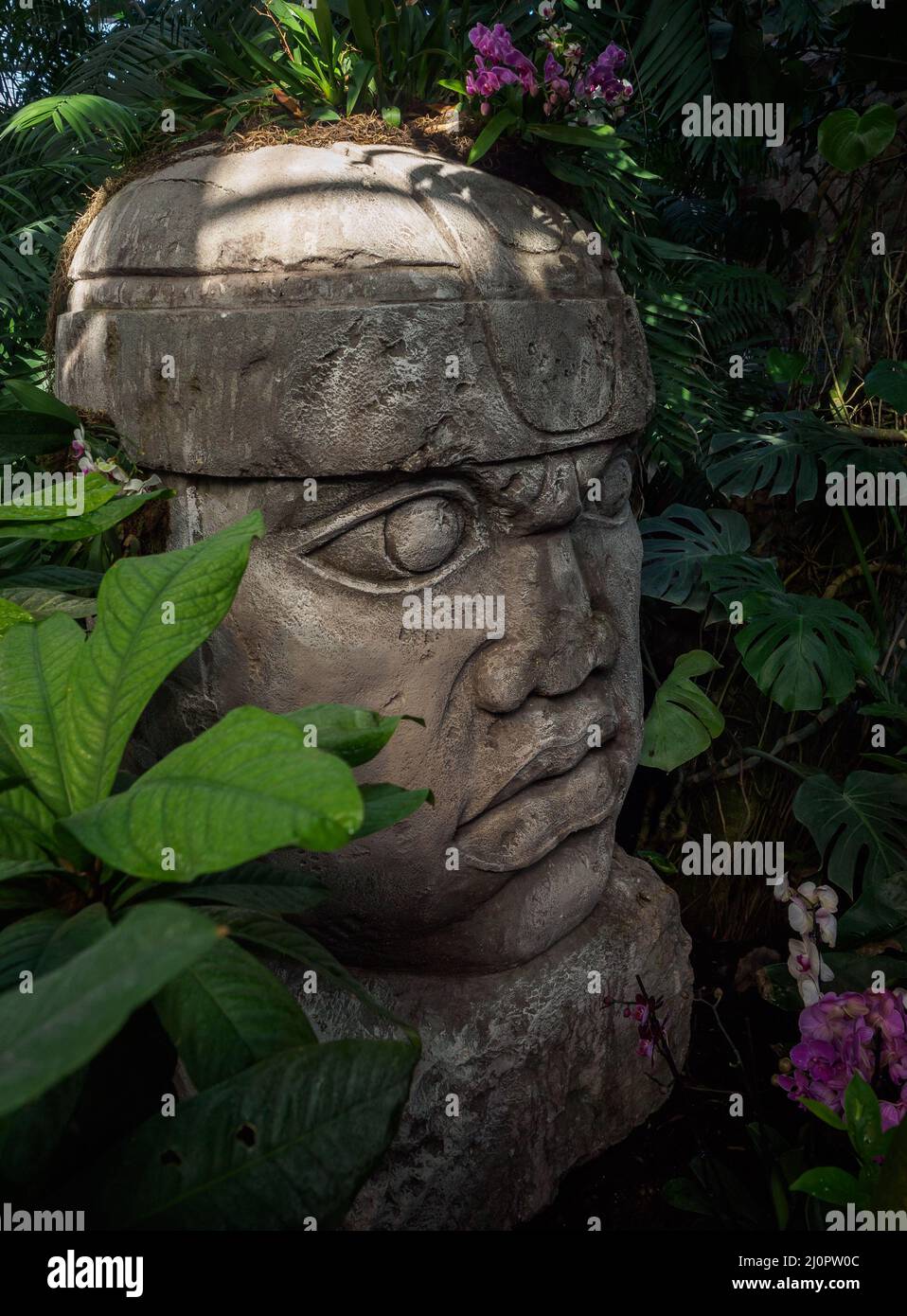 Olmec sculpture carved from stone. Mayan symbol Big stone head statue