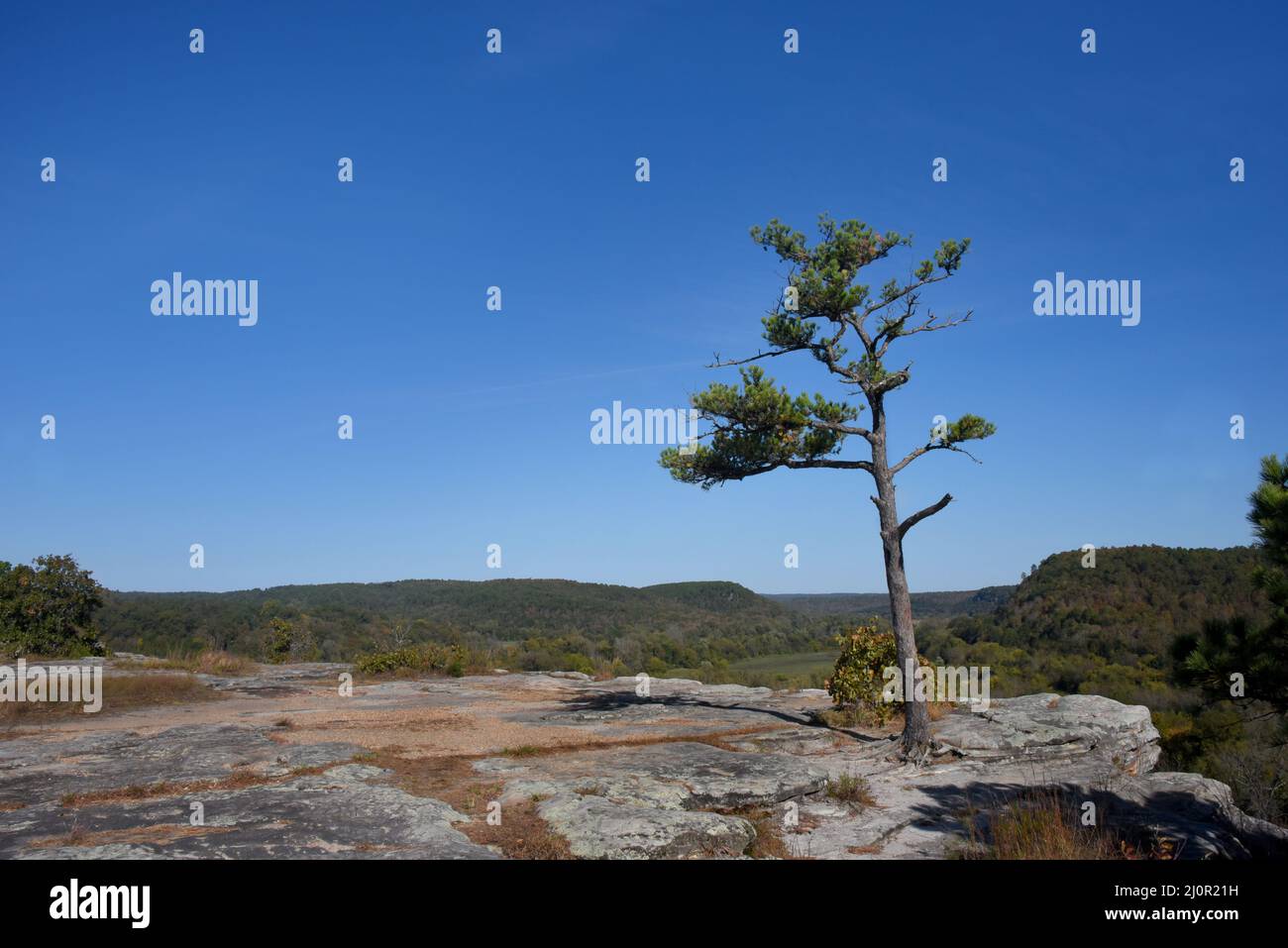 Best view of the Ozark Mountains with the White River below is at City