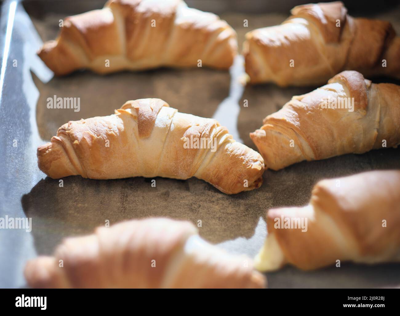 Ovenbaked croissants on baking sheet. Sweet bagels baked in hot oven