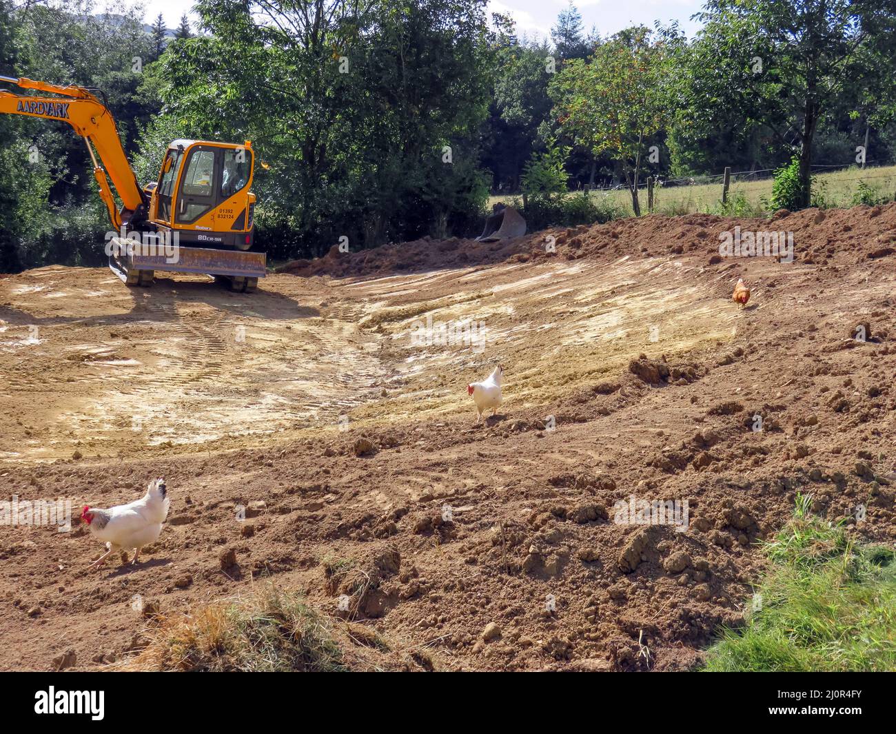 UK, England. Pond construction on a sloping field. 10 x 5 meters. Stage three - patch above for wildflower growth. Chickens optional! Stock Photo