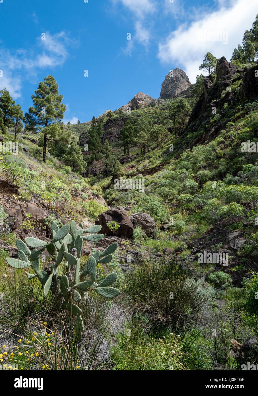 Landscape view from the hiking t…