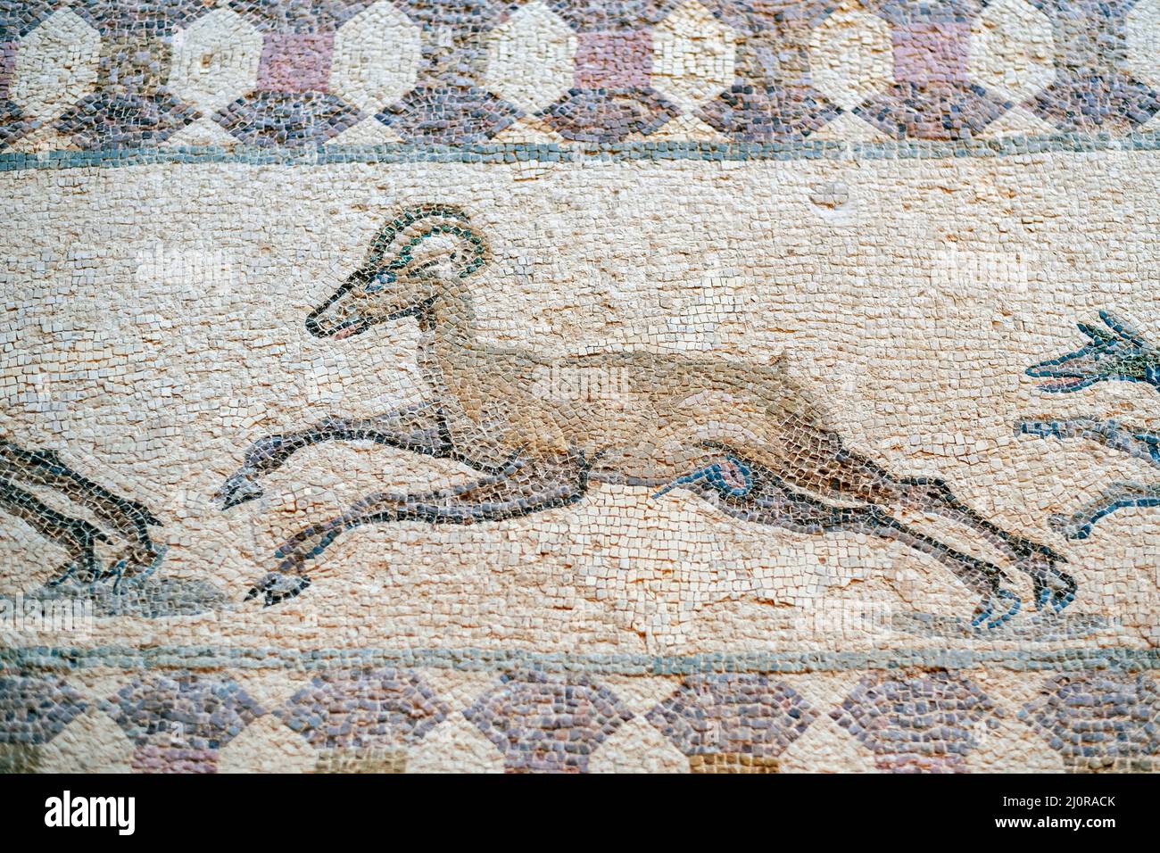 A hunting scene mosaic showing a dog chasing deer in the House of Dionysus, Paphos Archaeological park, Paphos, Cyprus. Stock Photo