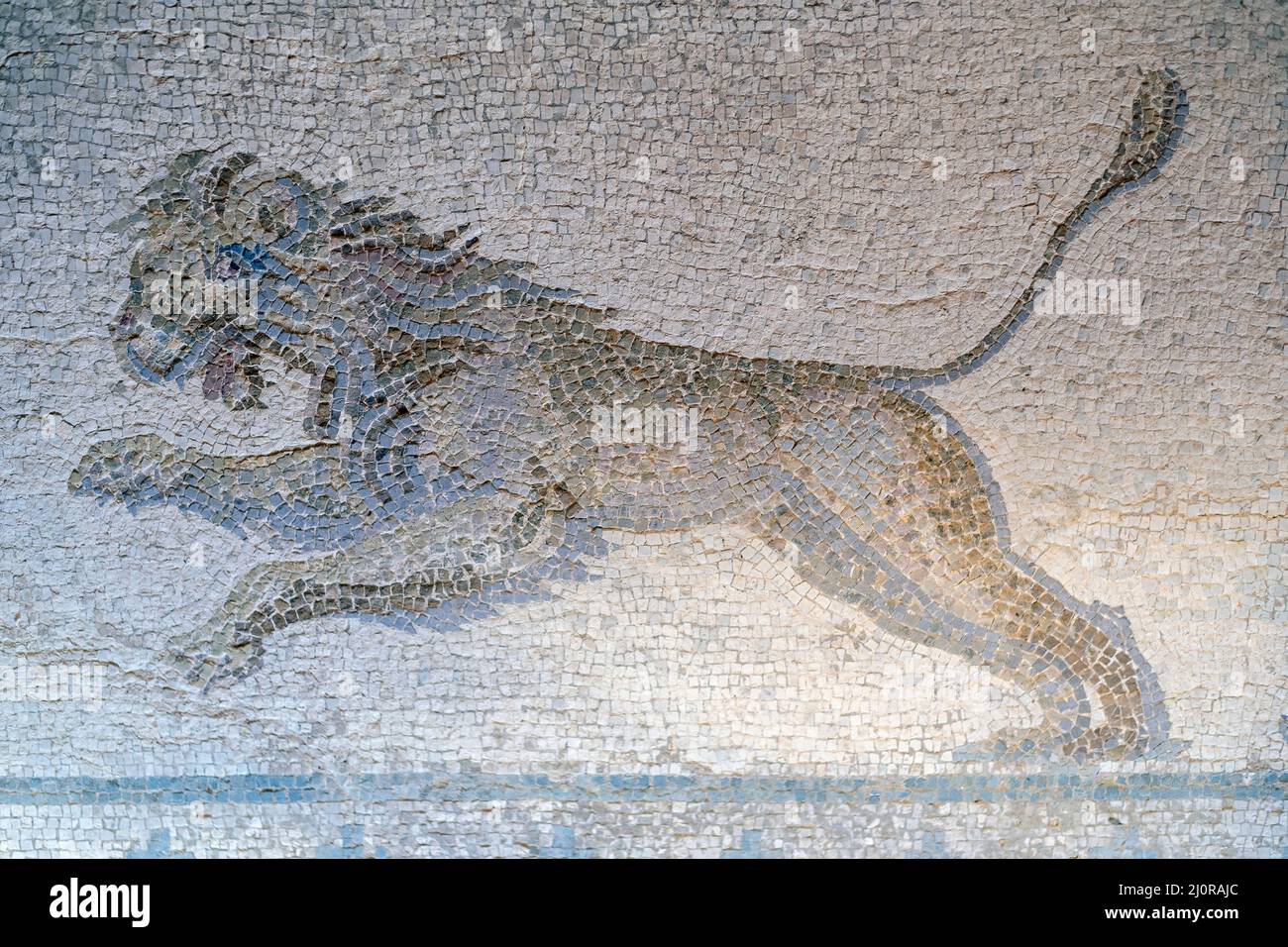 House of Dionysus, Paphos, Cyprus: Hunting scene Roman floor mosaic a charging lion. Stock Photo