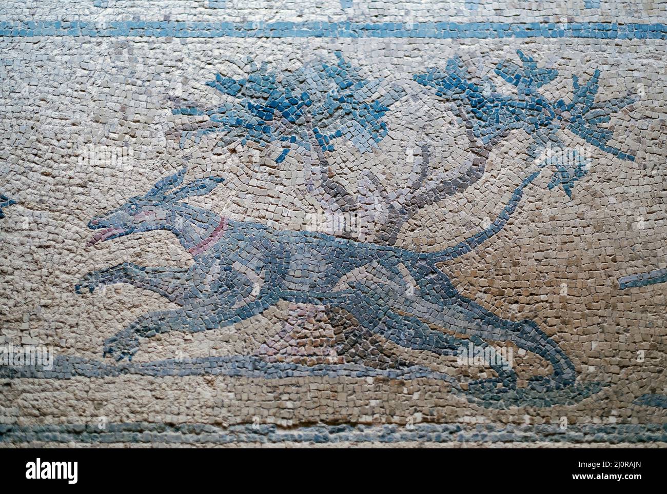 A hunting scene mosaic showing a hunting dog in the House of Dionysus, Paphos Archaeological park, Paphos, Cyprus. Stock Photo
